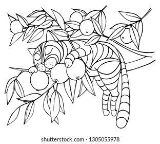 The cat sleeps on the branch of a tree. Drawing in black outline on white background. Coloring.