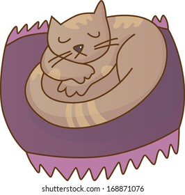 Cat sleeps on a pillow