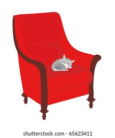 cat sleeps on sofa