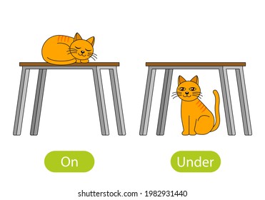 https://image.shutterstock.com/image-vector/cat-sleeps-on-table-sits-260nw-1982931440.jpg