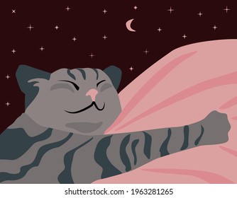 The cat sleeps sweetly on a pink pillow against the background of the starry sky with the moon. Vector illustration. Print for t-shirt or greeting card and more.