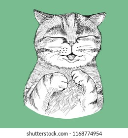 cat sleepy drawing pen style green background