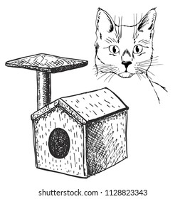 cat with a small house. Cat's house. Vector flat illustration. Isolated objects. Sketch.