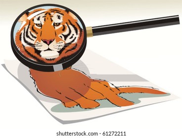 Cat is a small tiger. Vector illustration.