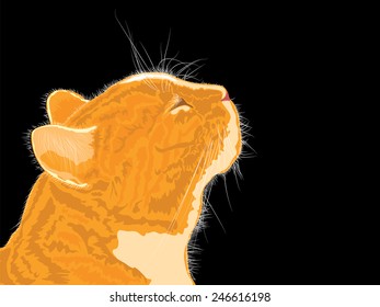 Cat smells spring flavors on black background. Vector illustration.