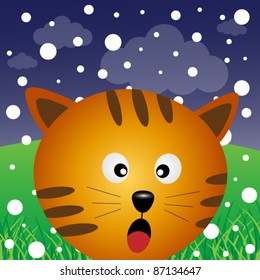 Cat and snow in the forest