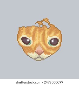 Cat sorry, pixel art meme. 