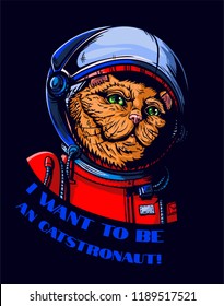 cat in a spacesuit isolated