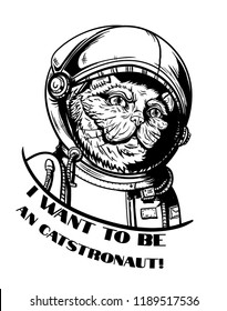 cat in a spacesuit isolated