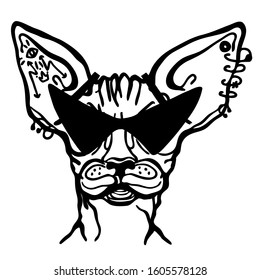 Cat sphinx piercing style with tattoo. Piercing cartoon cat handdrawn illustration isolated on white for design