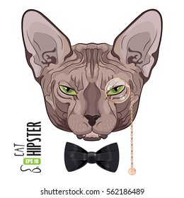 Cat Sphinx. Portrait of a green-eyed Sphinx Cat hipster in the monocle with gold rim and chain, and black bowtie, isolated on white, vector illustration, eps-10