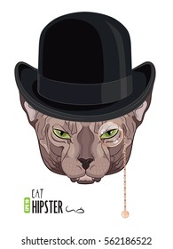 Cat Sphinx. Portrait of a green-eyed Sphinx Cat hipster in the monocle with gold rim and chain, and hat bowler, isolated on white, vector illustration, eps-10