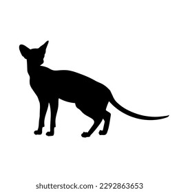 cat sphinx, side view silhouette, vector, cat breeds, pet, animals cat.