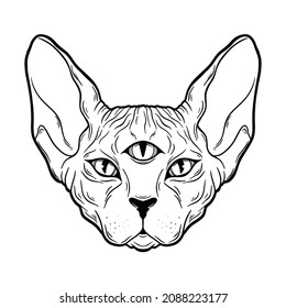 Cat sphinx three eyes vector hand drawn head. Sketch animal illuatration