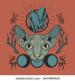 Cat sphinx witch fashion design