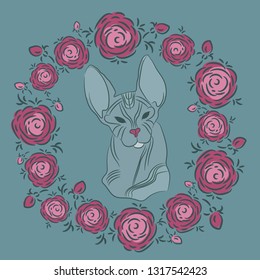 Cat sphinx. Cat without wool with big ears. Wrinkled skin. Round frame of flowers