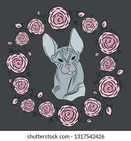 Cat sphinx. Cat without wool with big ears. Wrinkled skin. Round frame of flowers