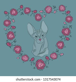 Cat sphinx. Cat without wool with big ears. Wrinkled skin. Frame in the shape of a heart of flowers