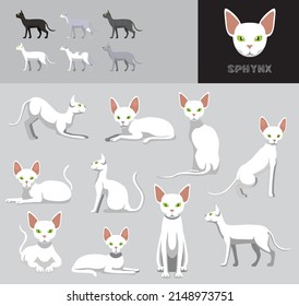 Cat Sphynx Cartoon Vector Illustration Color Variation Set