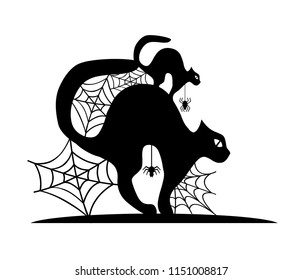 cat and spider web, black silhouette vector on a white background