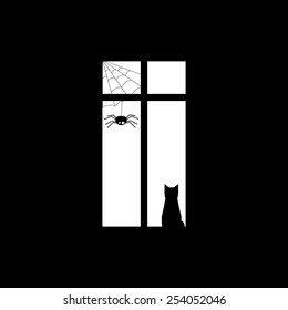  Cat and spider at the window
