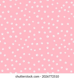 cat spoor random walk around pink floor