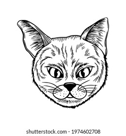 cat spotted striped head symmetrical sketch vector graphics black and white drawing