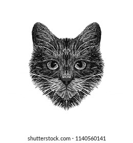The cat is spotty. Striped. Black and white sketch. Vector graphics. Prints for clothes, T-shirts. 