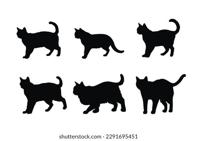 Cat standing silhouette bundle design. Cute cat walking in different positions silhouette collection. Feline standing design on a white background. Cute home cat silhouette set vector.