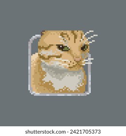 Cat staring, pixel art meme