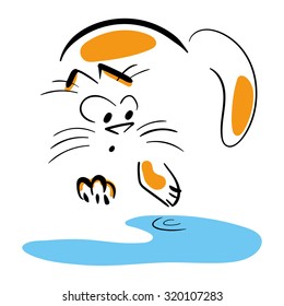 Cat stepped in a puddle.
