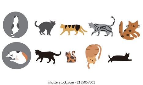 Cat stickers collection set, cartoon style flat design Premium Vector
