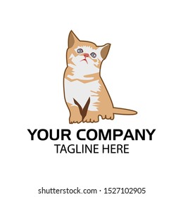 Cat Stock logo template. light brown cat, cute cat	