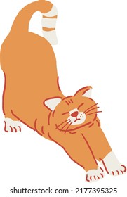 Cat stretching Ginger cat in action Hand drawn color illustration