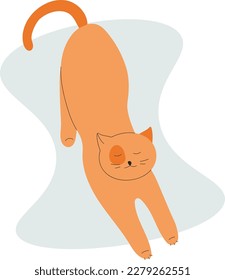 A cat is stretching on a blue background.