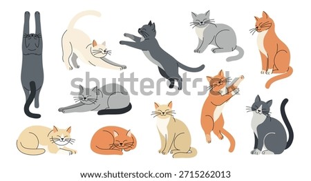 Cat with stretching, sleeping, and sitting pose set isolated on white background for pet concept