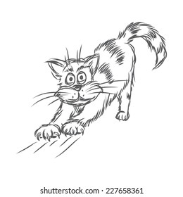 Cat stretching. Vector sketch.