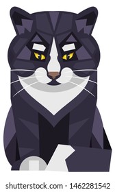 Cat Striped Head Symmetrical Sketch Vector Graphics Color Picture