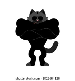 Cat Strong Cool serious. Pet smoking cigar emoji. Kitty strict. Vector illustration