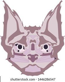 Cat. Stylized portrait, the head of a cat. Vector illustration. Print for textiles. For use in the interior.
