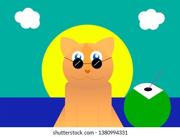 cat sun water beach coconut water sky blue summer clouds yellow green water glasses sea