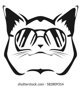 Cat with sunglasses. Cool