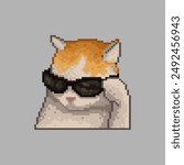 Cat with sunglasses, pixel art meme