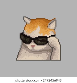 Cat with sunglasses, pixel art meme