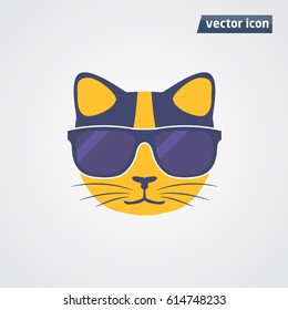 cat in sunglasses vector illustration