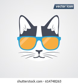 cat in sunglasses vector illustration