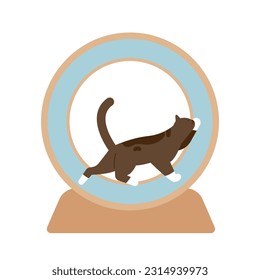 cat supplies. A cat running on a cat wheel.
