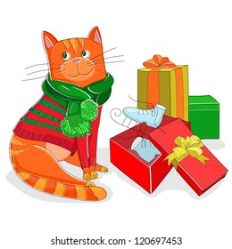 cat in a sweater on a white background