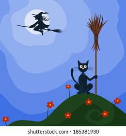 Cat with a sweeper
