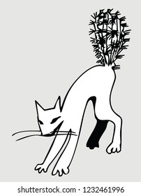 cat with a tail like a cactus